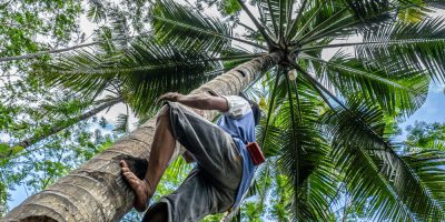 Safest Cities in Costa Rica