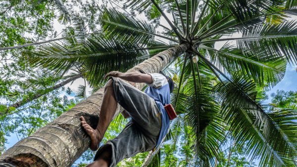 Safest Cities in Costa Rica