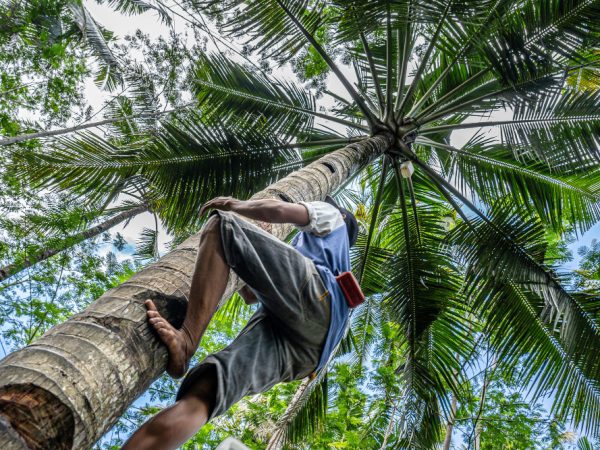Safest Cities in Costa Rica