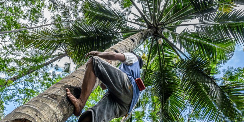 Safest Cities in Costa Rica