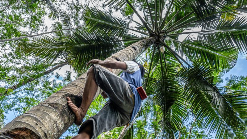 Safest Cities in Costa Rica
