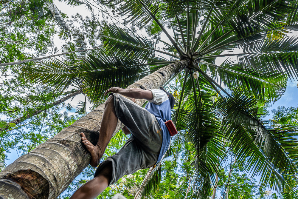 Safest Cities in Costa Rica