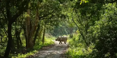 Chitwan National Park
