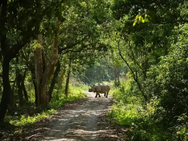 Chitwan National Park