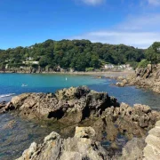 North Sands Beach Salcombe