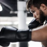 The Boxer Gym