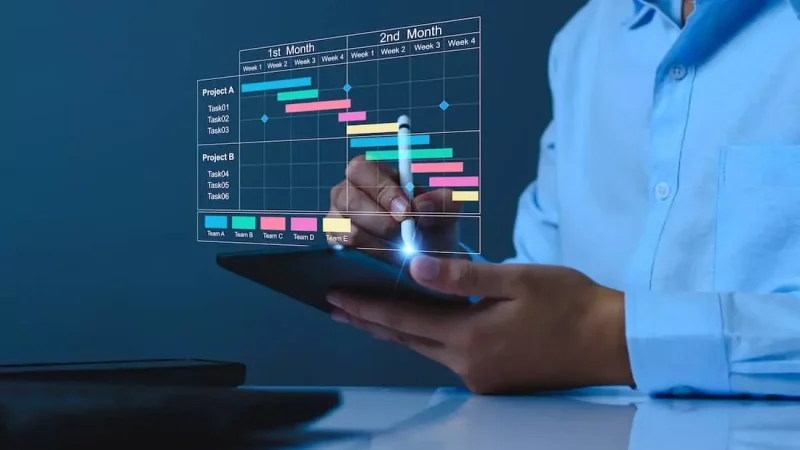Systems and Project Management