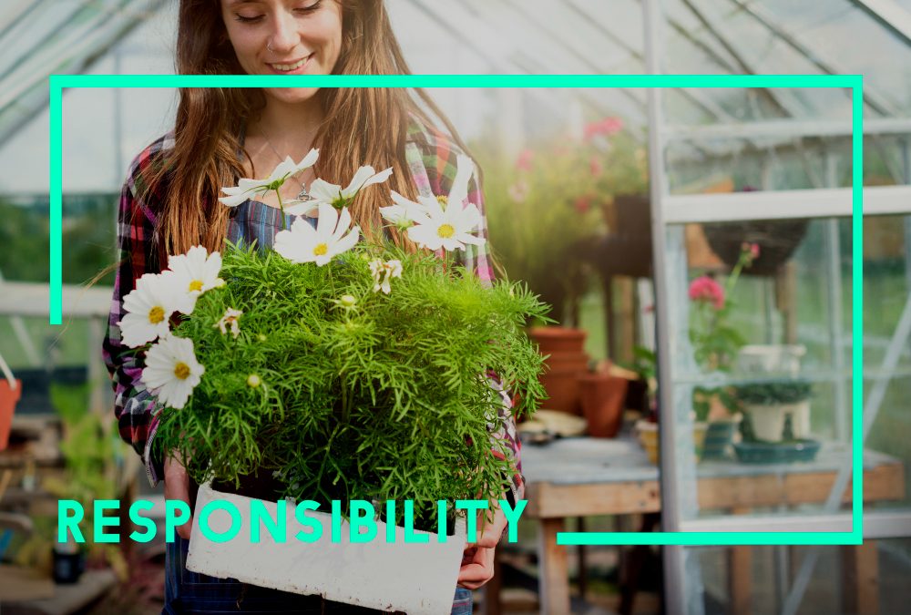 AeroGarden Promo Code