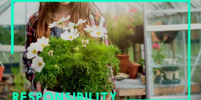 AeroGarden Promo Code