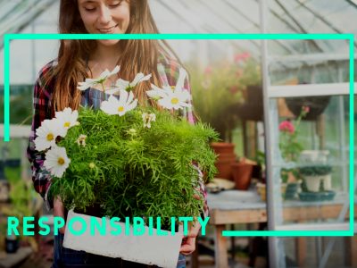 AeroGarden Promo Code