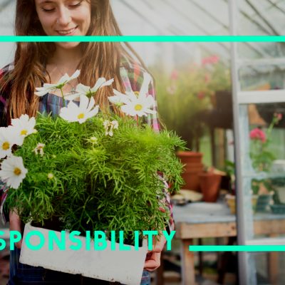 AeroGarden Promo Code