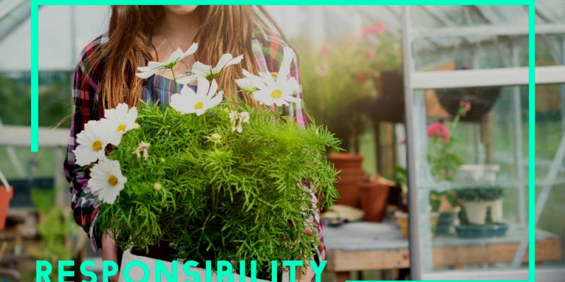 AeroGarden Promo Code