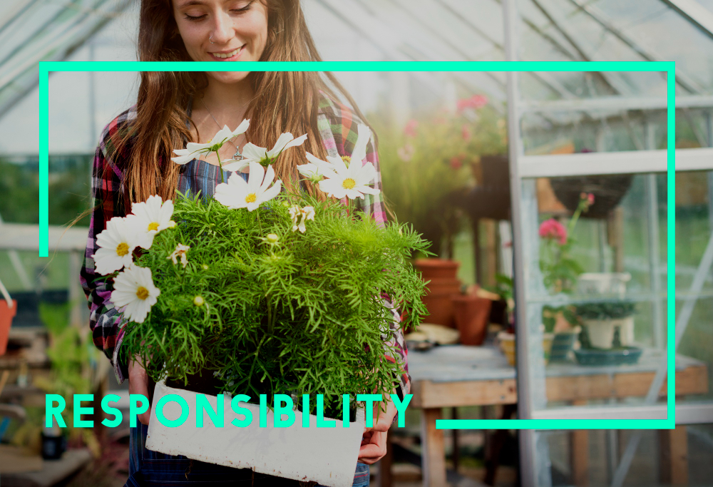 AeroGarden Promo Code