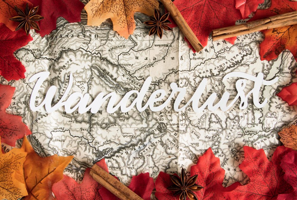 Once Upon a Mattress Script