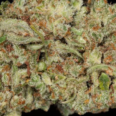 cookie wreck strain