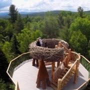 Left Right Center Wild