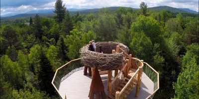 Left Right Center Wild