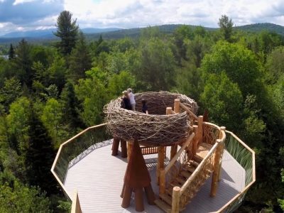 Left Right Center Wild