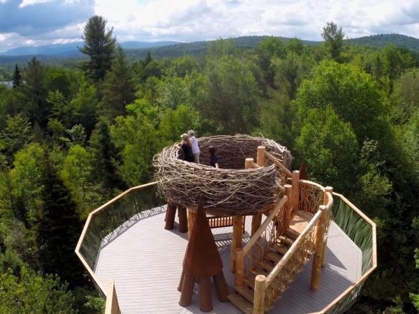 Left Right Center Wild